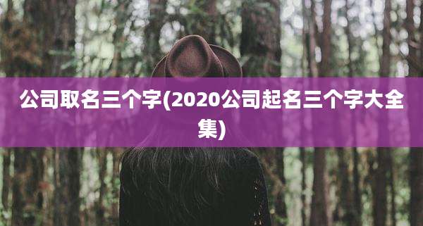 公司取名三个字(2020公司起名三个字大全集)