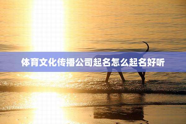 体育文化传播公司起名怎么起名好听