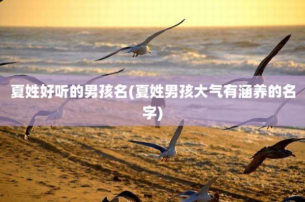 夏姓好听的男孩名(夏姓男孩大气有涵养的名字)