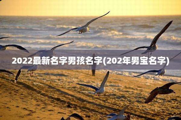 2022最新名字男孩名字(202年男宝名字)