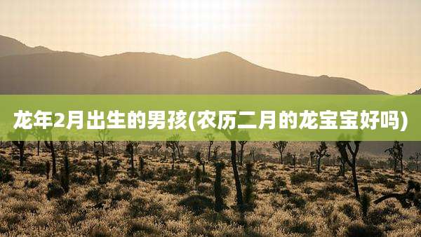 龙年2月出生的男孩(农历二月的龙宝宝好吗)
