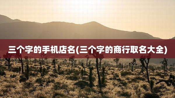 三个字的手机店名(三个字的商行取名大全)