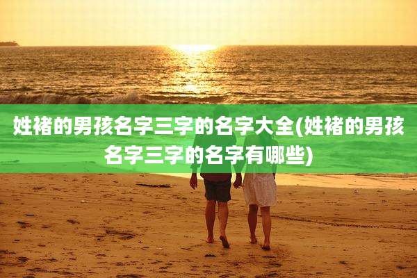 姓褚的男孩名字三字的名字大全(姓褚的男孩名字三字的名字有哪些)