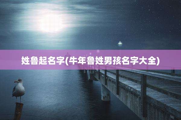 姓鲁起名字(牛年鲁姓男孩名字大全)
