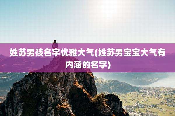 姓苏男孩名字优雅大气(姓苏男宝宝大气有内涵的名字)