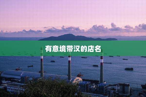 有意境带汉的店名