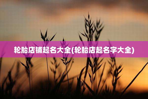 轮胎店铺起名大全(轮胎店起名字大全)