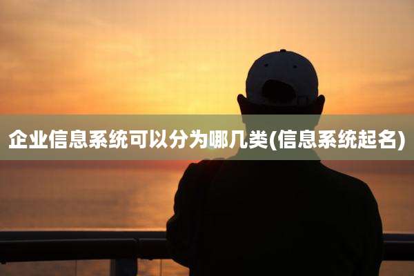 企业信息系统可以分为哪几类(信息系统起名)