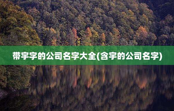 带宇字的公司名字大全(含宇的公司名字)
