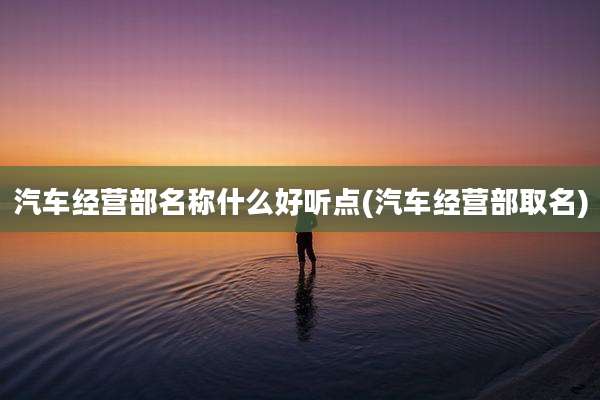 汽车经营部名称什么好听点(汽车经营部取名)