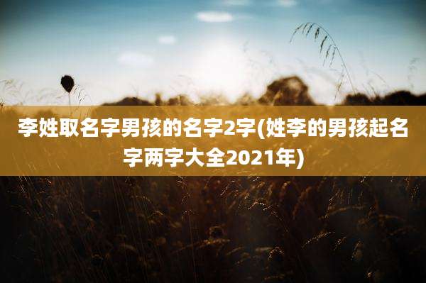 李姓取名字男孩的名字2字(姓李的男孩起名字两字大全2021年)