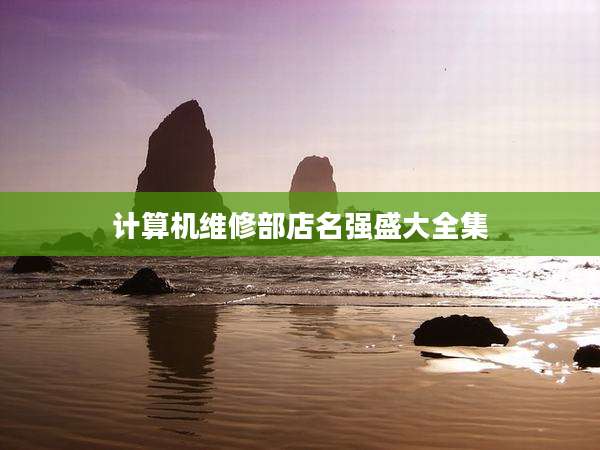 计算机维修部店名强盛大全集