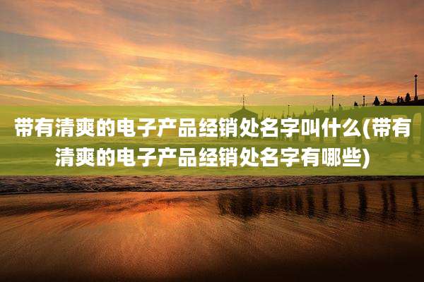 带有清爽的电子产品经销处名字叫什么(带有清爽的电子产品经销处名字有哪些)