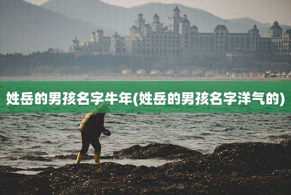姓岳的男孩名字牛年(姓岳的男孩名字洋气的)