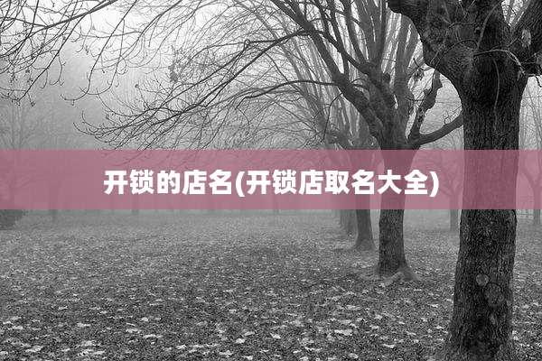 开锁的店名(开锁店取名大全)
