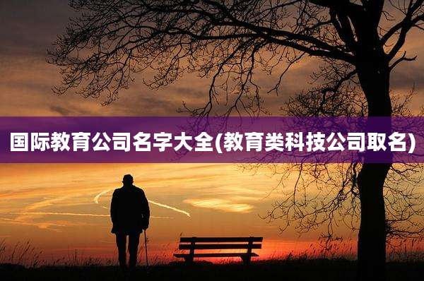 国际教育公司名字大全(教育类科技公司取名)