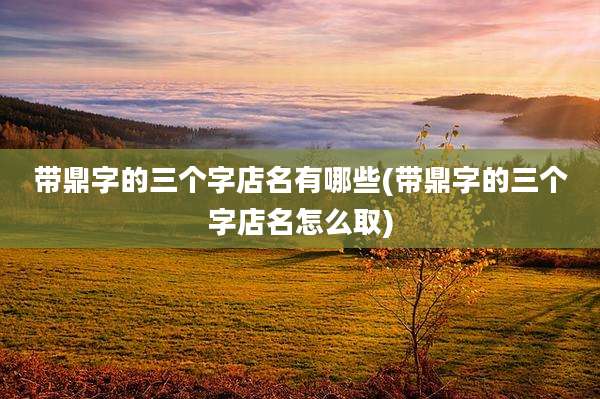 带鼎字的三个字店名有哪些(带鼎字的三个字店名怎么取)