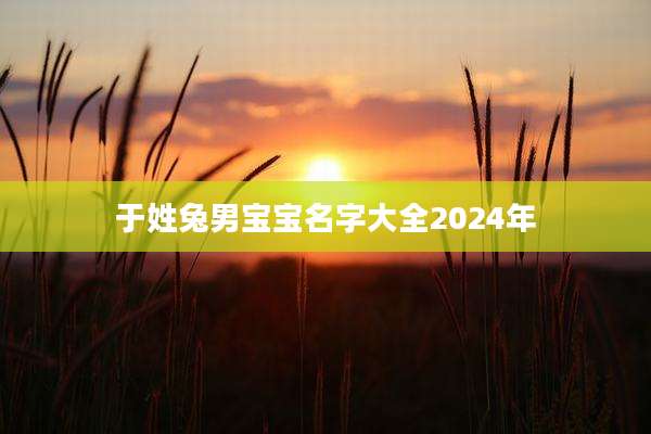 于姓兔男宝宝名字大全2024年
