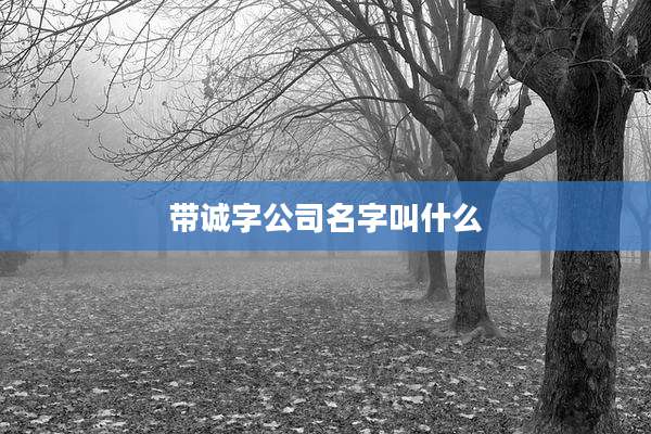 带诚字公司名字叫什么