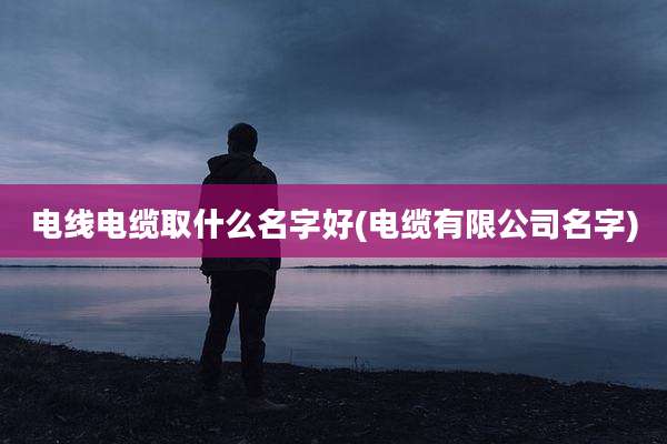 电线电缆取什么名字好(电缆有限公司名字)