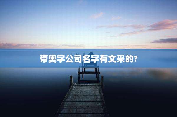 带奥字公司名字有文采的?