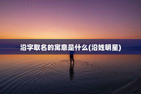 沿字取名的寓意是什么(沿姓明星)