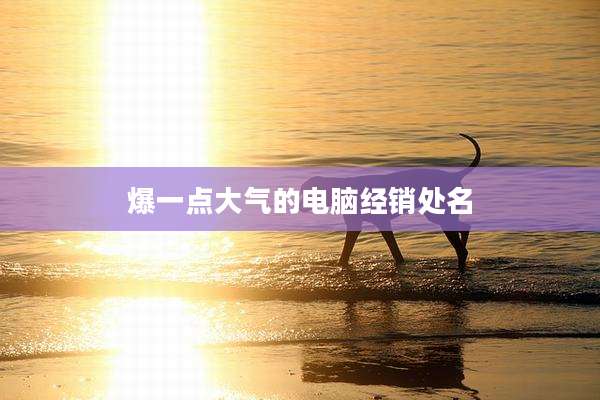 爆一点大气的电脑经销处名