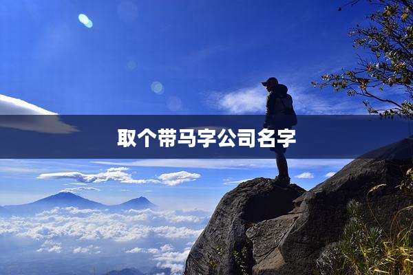 取个带马字公司名字