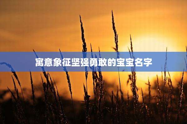 寓意象征坚强勇敢的宝宝名字