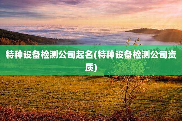 特种设备检测公司起名(特种设备检测公司资质)