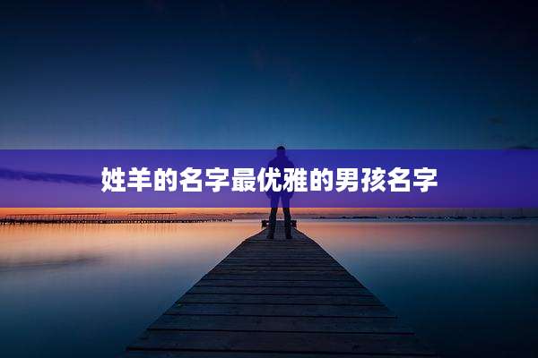 姓羊的名字最优雅的男孩名字