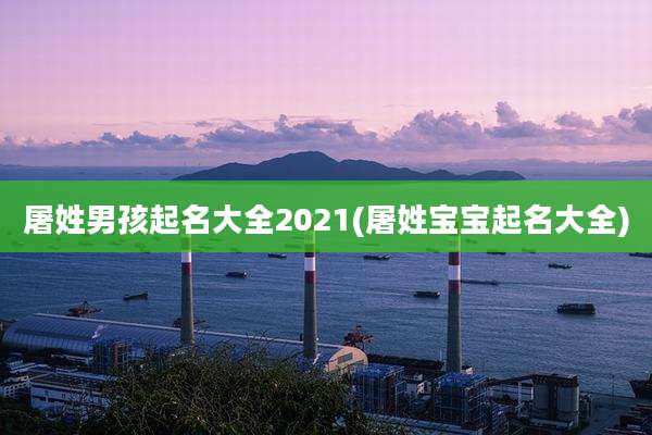 屠姓男孩起名大全2021(屠姓宝宝起名大全)
