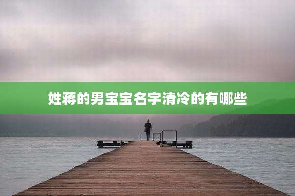 姓蒋的男宝宝名字清冷的有哪些