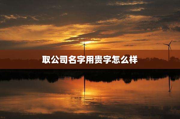 取公司名字用贵字怎么样