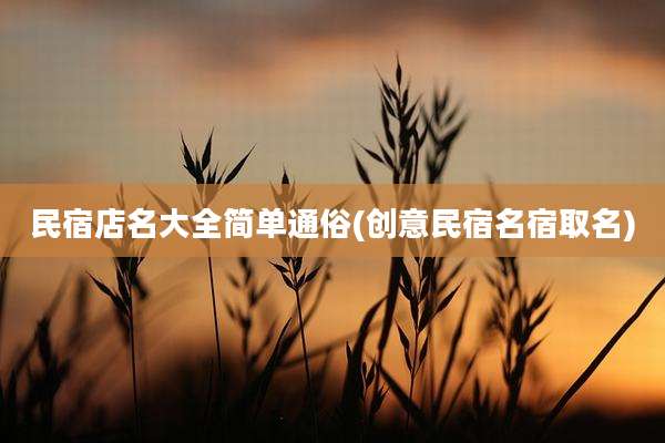 民宿店名大全简单通俗(创意民宿名宿取名)