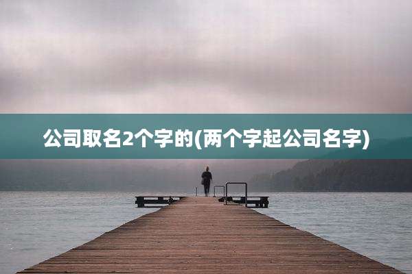 公司取名2个字的(两个字起公司名字)