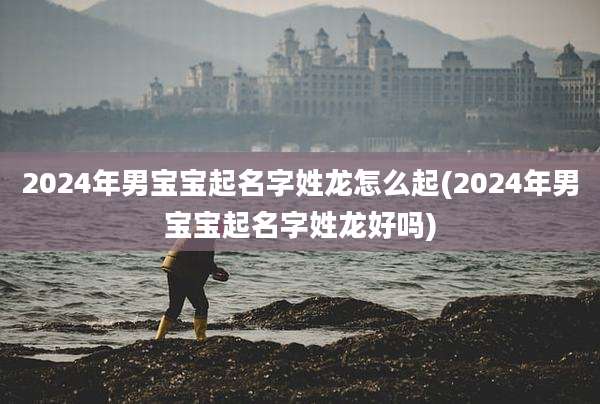 2024年男宝宝起名字姓龙怎么起(2024年男宝宝起名字姓龙好吗)