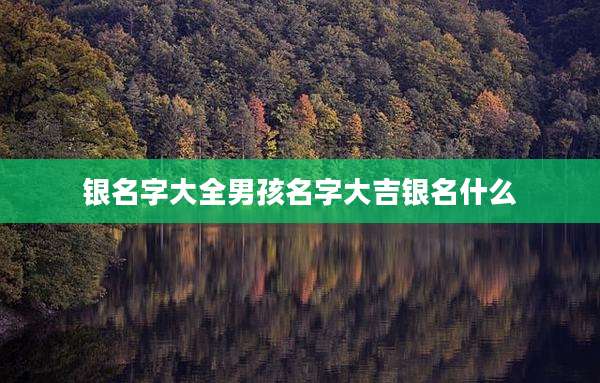 银名字大全男孩名字大吉银名什么
