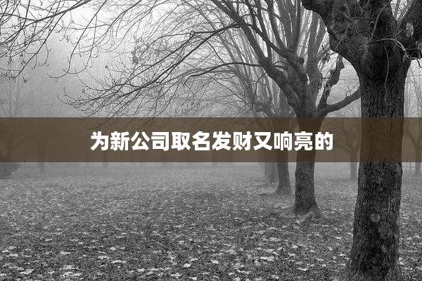 为新公司取名发财又响亮的