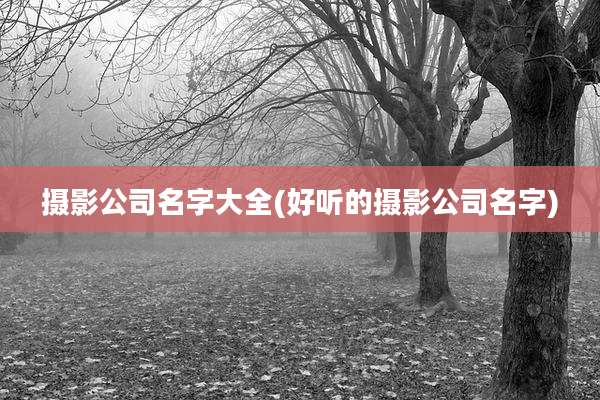 摄影公司名字大全(好听的摄影公司名字)