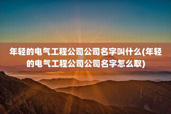 年轻的电气工程公司公司名字叫什么(年轻的电气工程公司公司名字怎么取)