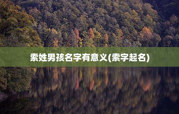 索姓男孩名字有意义(索字起名)