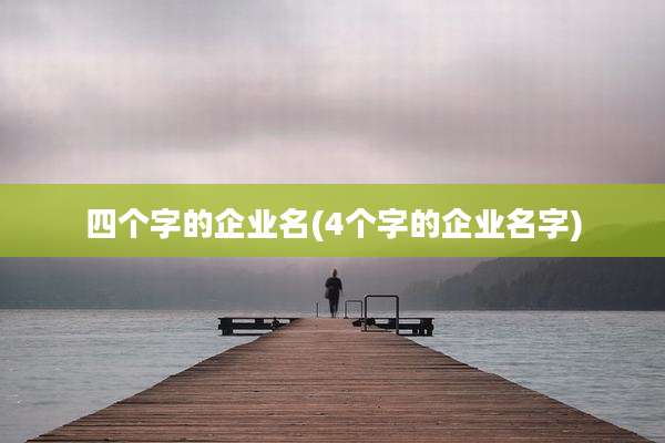 四个字的企业名(4个字的企业名字)