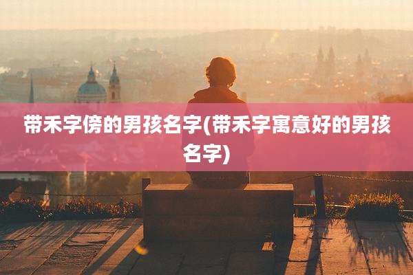 带禾字傍的男孩名字(带禾字寓意好的男孩名字)