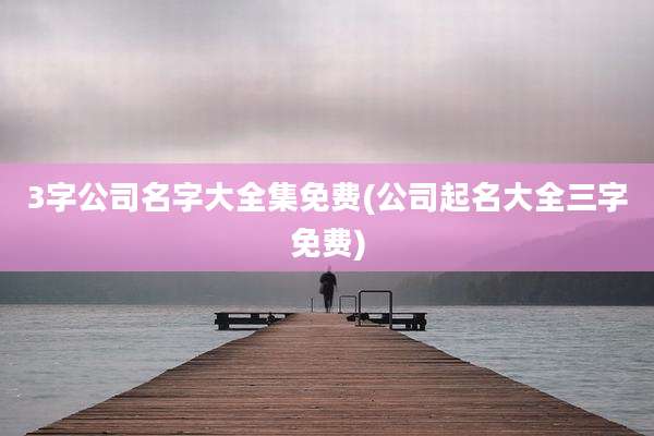 3字公司名字大全集免费(公司起名大全三字免费)