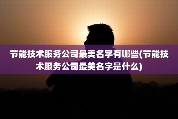 节能技术服务公司最美名字有哪些(节能技术服务公司最美名字是什么)