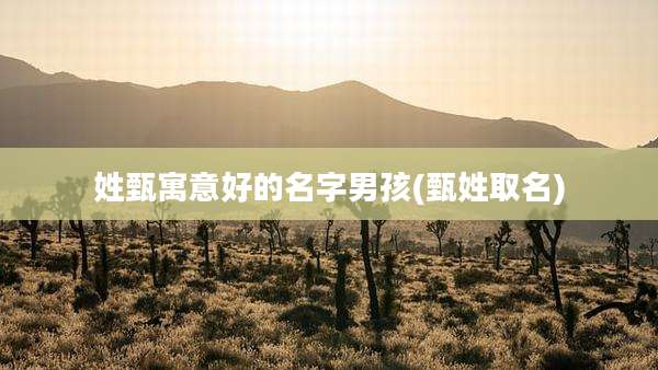姓甄寓意好的名字男孩(甄姓取名)