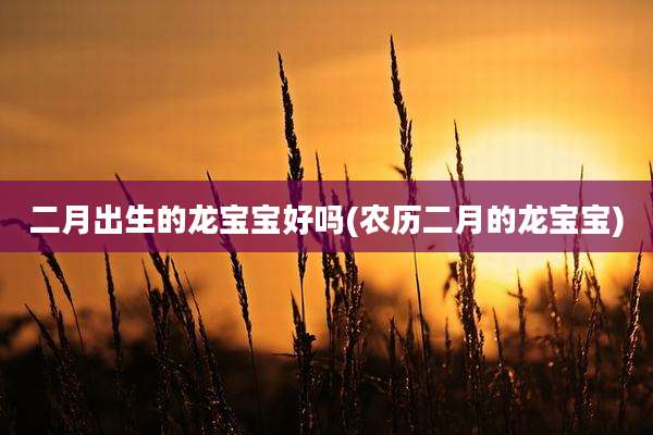 二月出生的龙宝宝好吗(农历二月的龙宝宝)