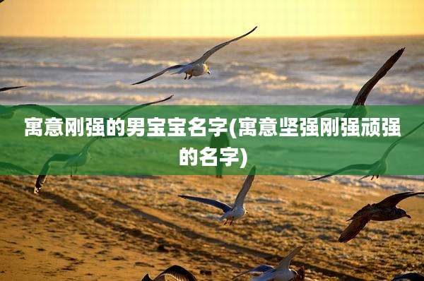 寓意刚强的男宝宝名字(寓意坚强刚强顽强的名字)