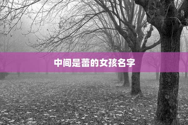 中间是蕾的女孩名字